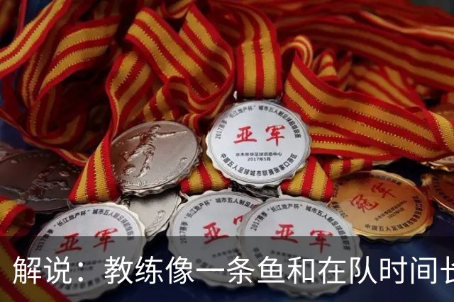 解说：教练像一条鱼&在队时间长了就会发臭 杜锋话语出现效应递减